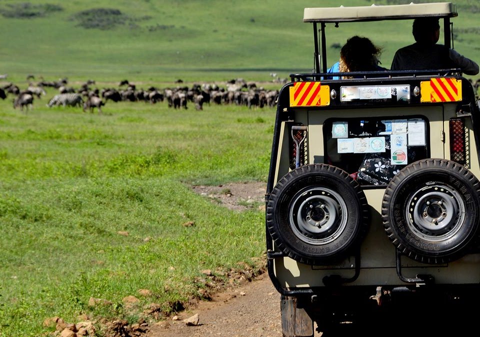 Why You Need A Uganda Safaris Tour Operator