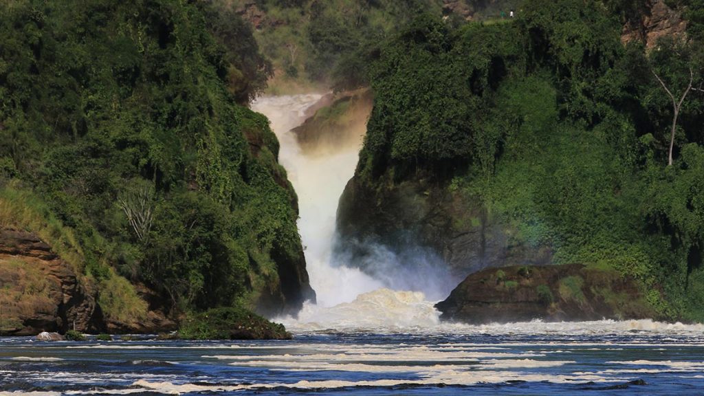 Murchison Falls & Jinja Adventure