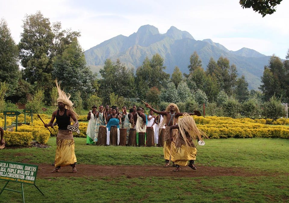 Rwanda Safaris