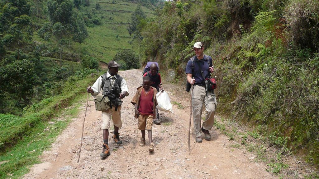 bwindi impenetrable forest hiking and nature walks