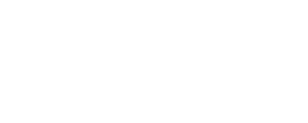 Logo-Curious-Tours
